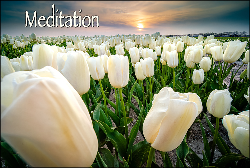 Meditation 04-28-2024 by Rev. Anne Tabor